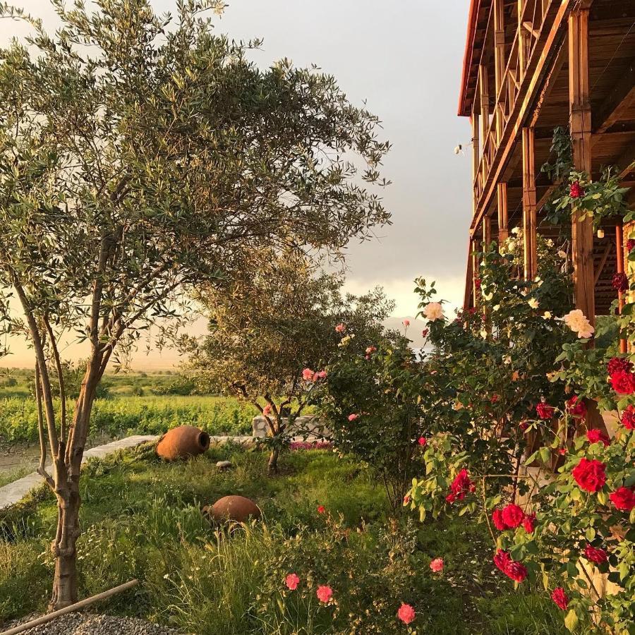 Elizbar Talakvadze Winery Villa Kardanakhi Exterior photo