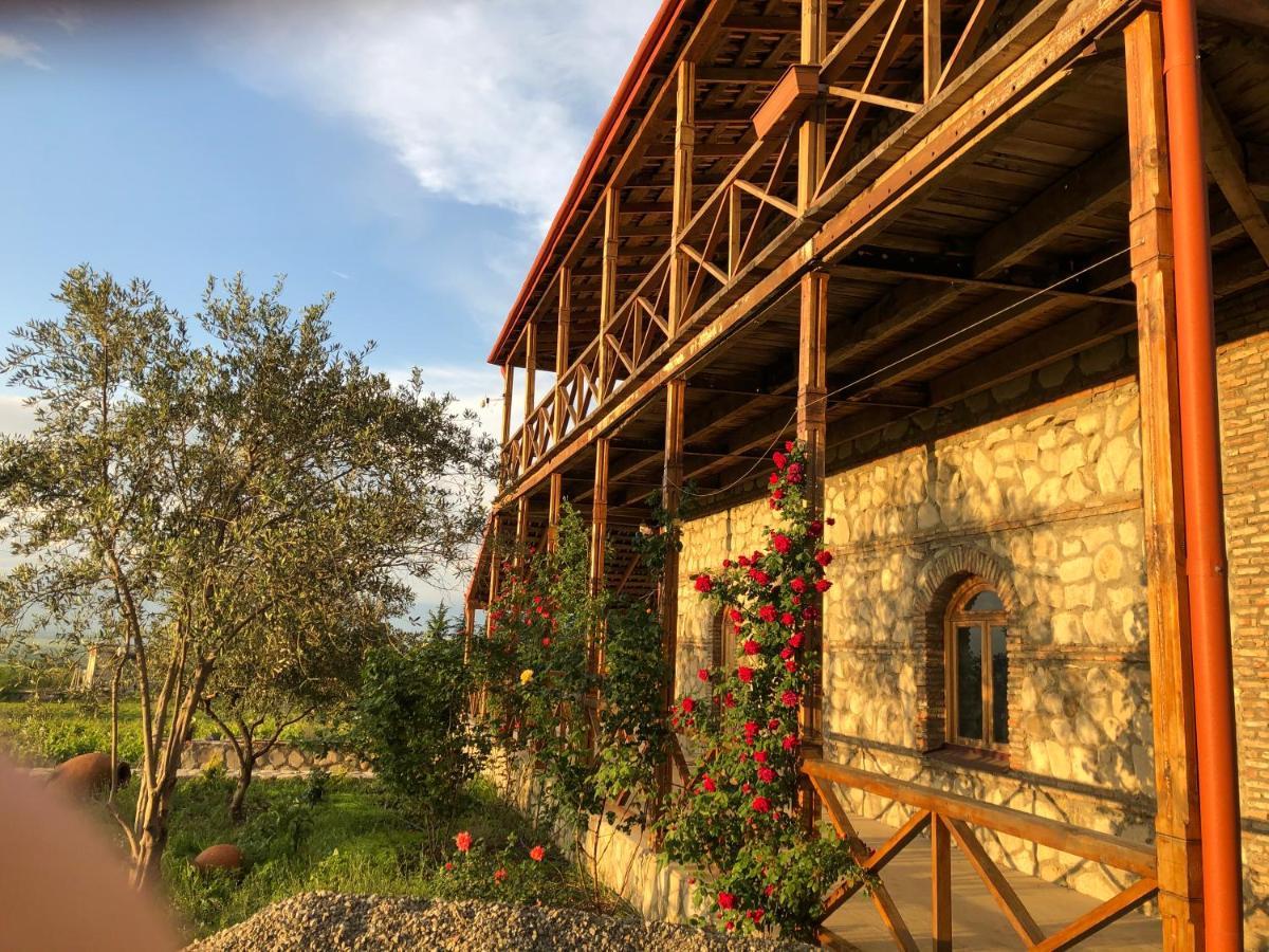 Elizbar Talakvadze Winery Villa Kardanakhi Exterior photo